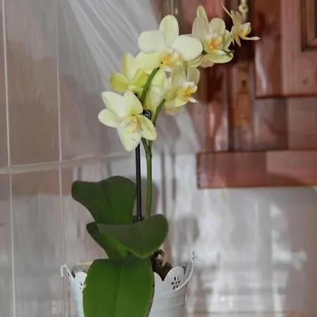 Restaurant Du Port Yvoire