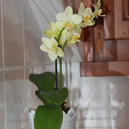 Restaurant Du Port Yvoire